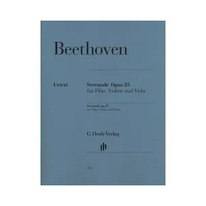 Flavta, violina in viola Flavta, violina in viola