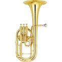 Tenor horn
